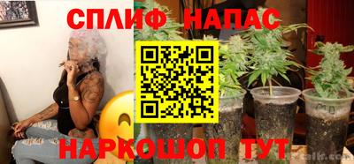 СК Ярославль