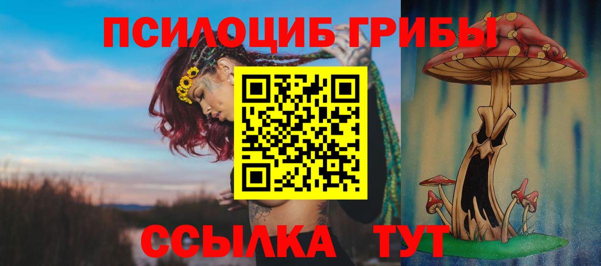 Богородск  Галлюциногенные грибы мицелий  Вход с VPN 